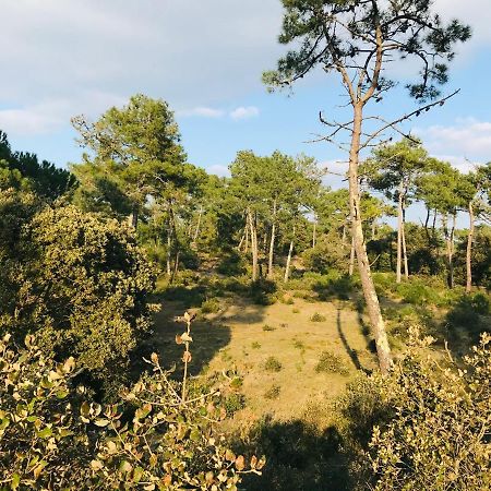 Le Victoria, Piscine Et Foret Сен-Жан-де-Мон Екстериор снимка